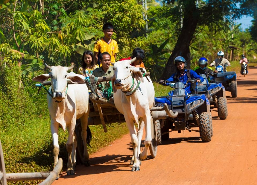 UNIQUE QUAD BIKE SUNSET TOUR (Countryside-1hour)